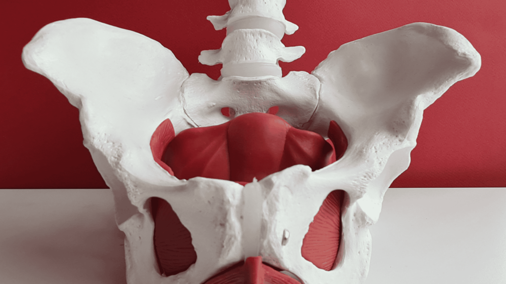 Síndrome de Congestão Pélvica: Dor e Varizes Pélvicas | Dr. Leonardo Pacheco | Angiologista