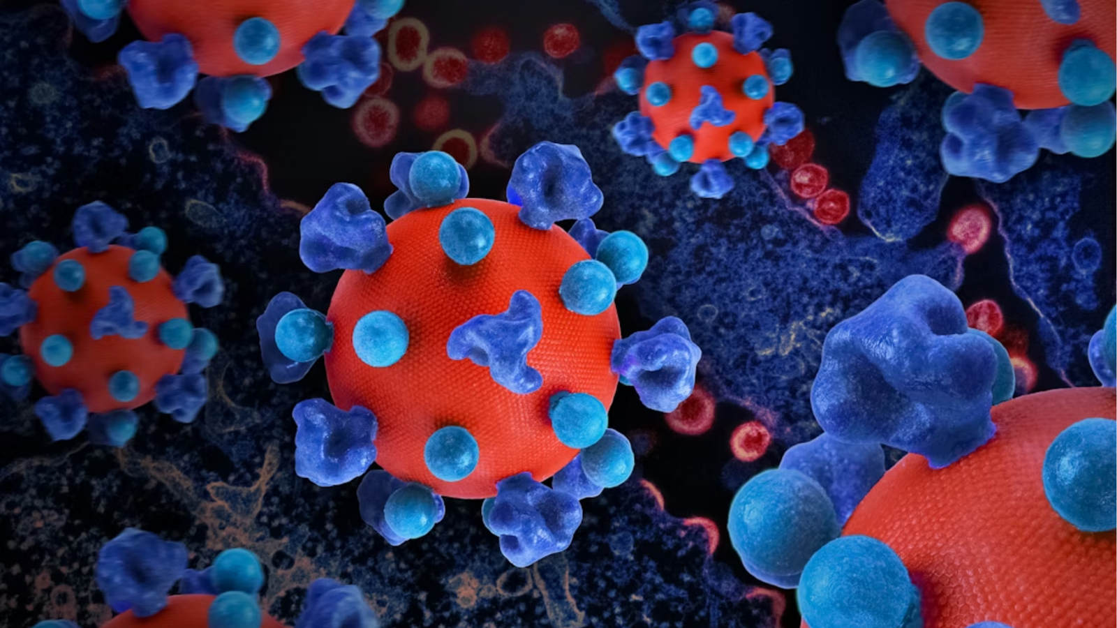 Vasculites | Dr. Leonardo Pacheco | Angiologista