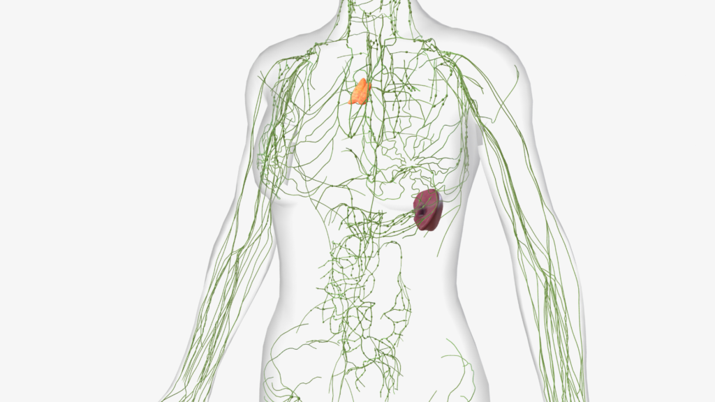 Erisipela: 5 Sinais de Alerta e Complicações Vasculares | Angioclínica